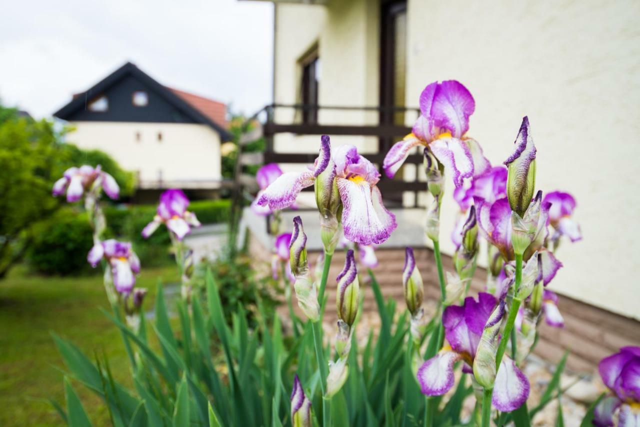 Apartma Ela Bled Luaran gambar